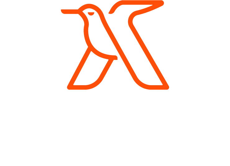 Andrés Zapata · Mentor Corporativo